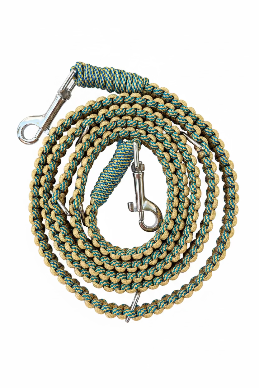 6 Foot European Style Dog Leash