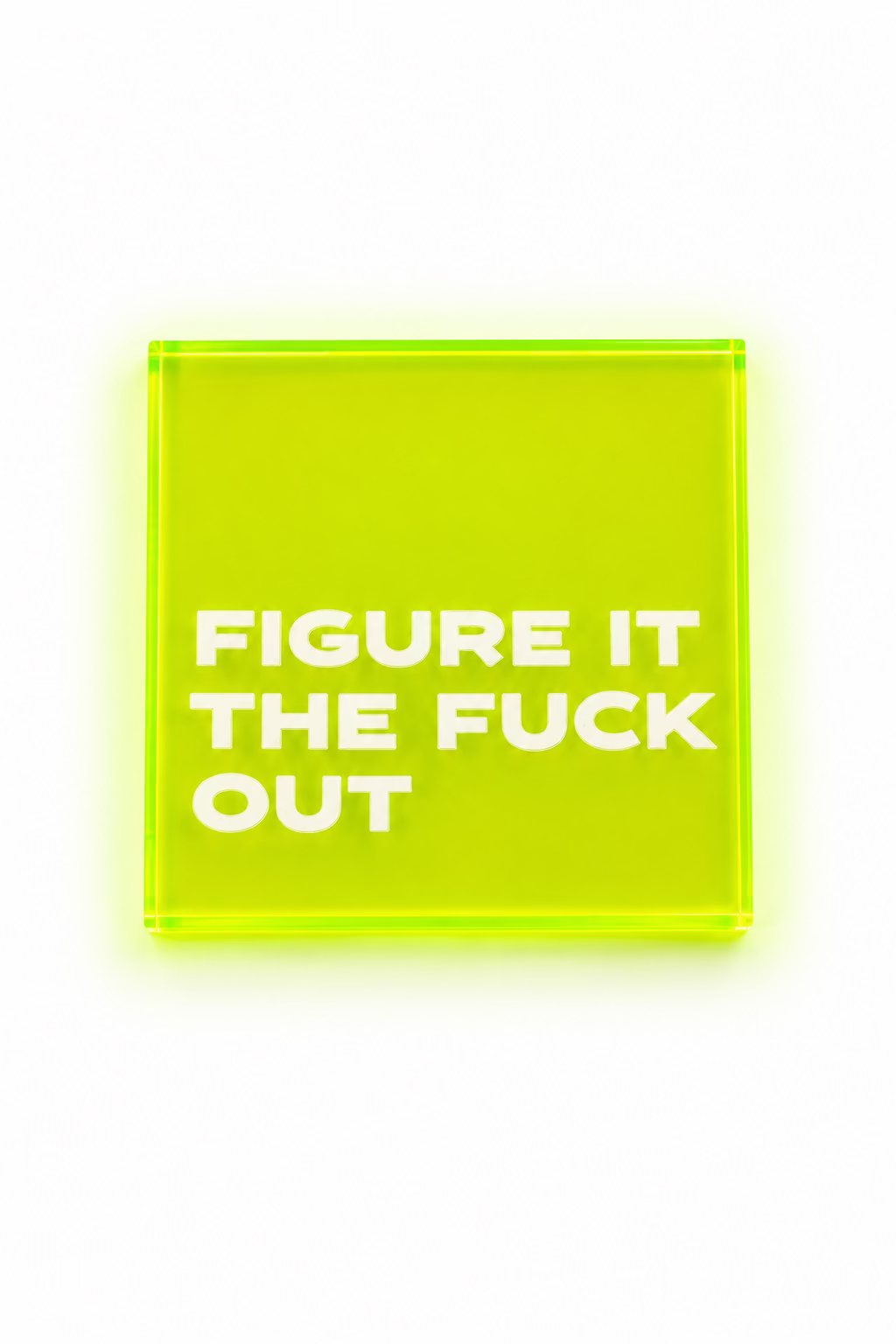 Figure it Out Coaster