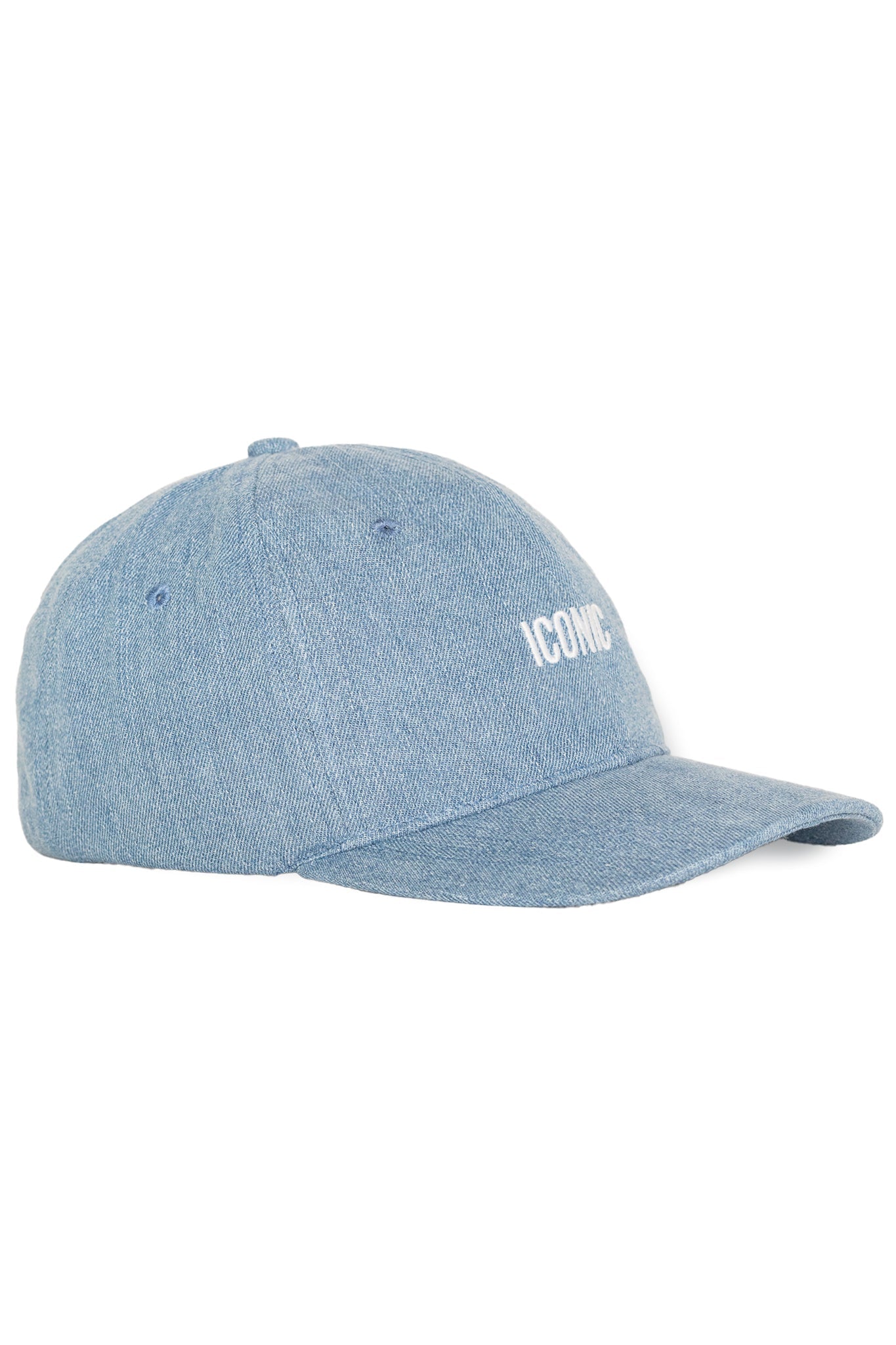Iconic Dad Cap