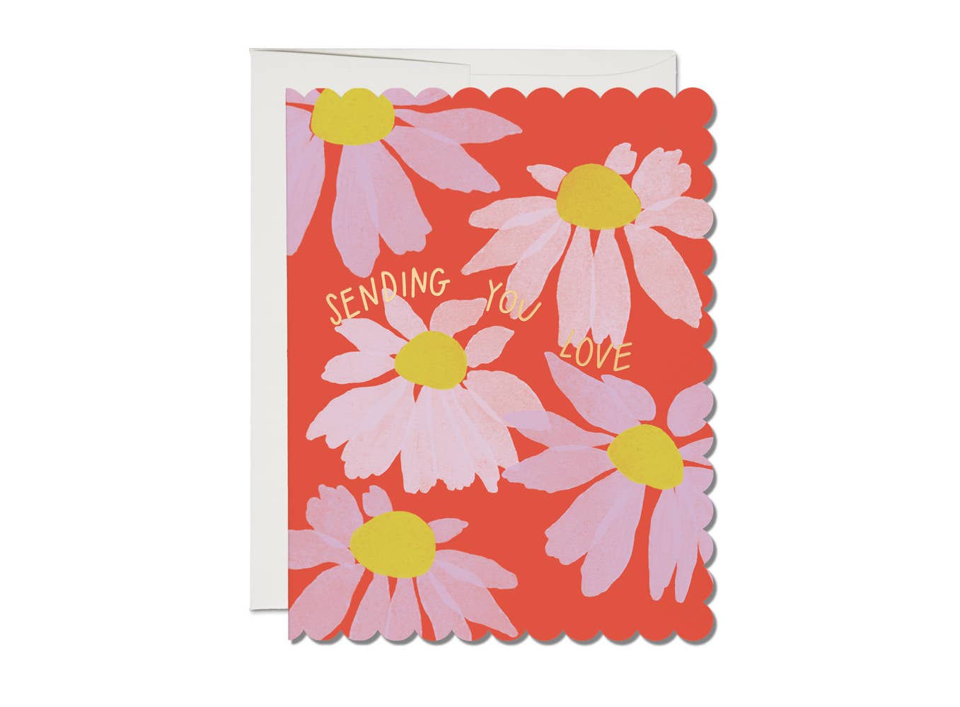 Scalloped Coneflower-Sympathy Card